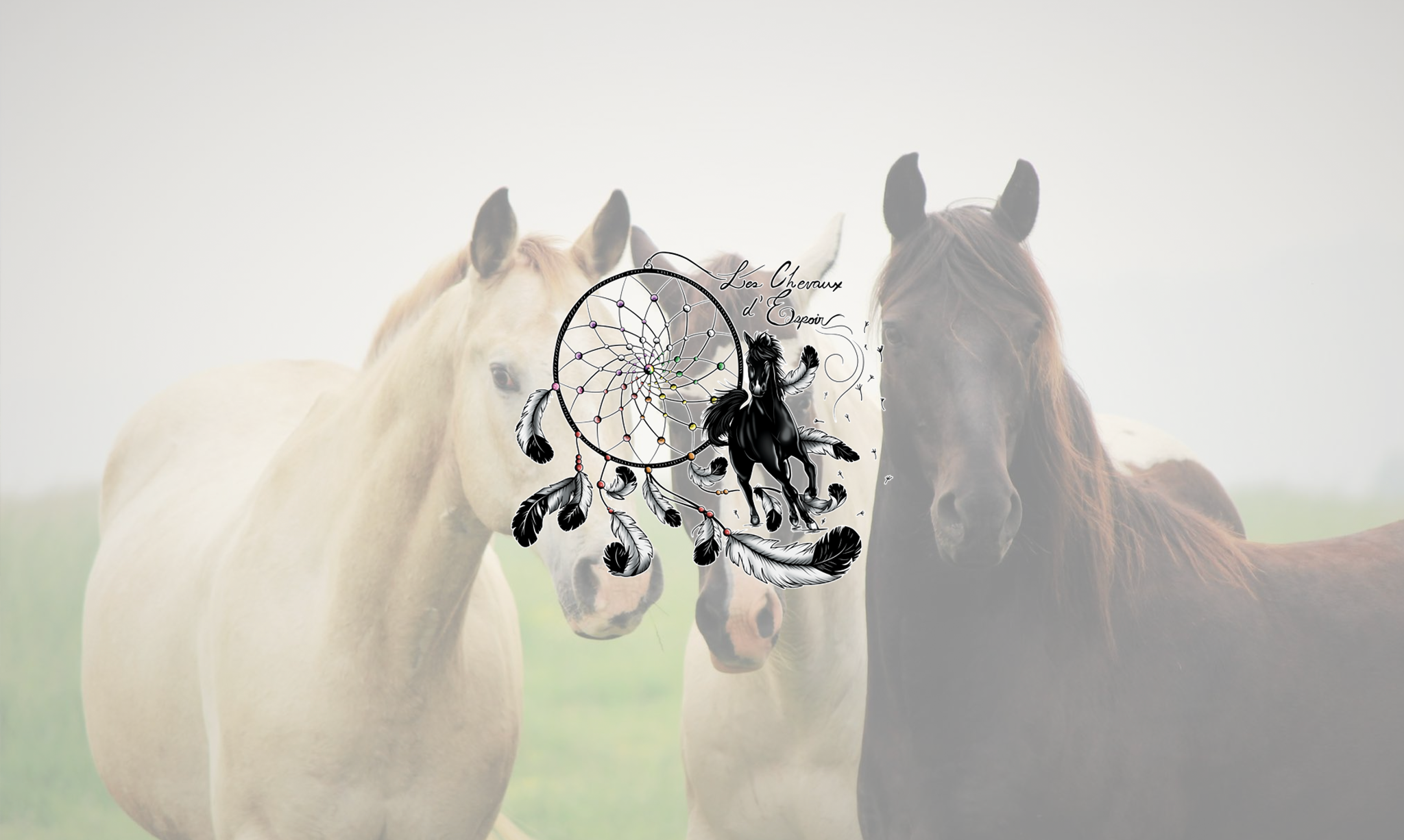 Refuge - Les Chevaux D'Espoir